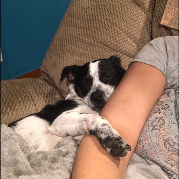 Like my post to stay up to date with New Items - Picture 2 of 8